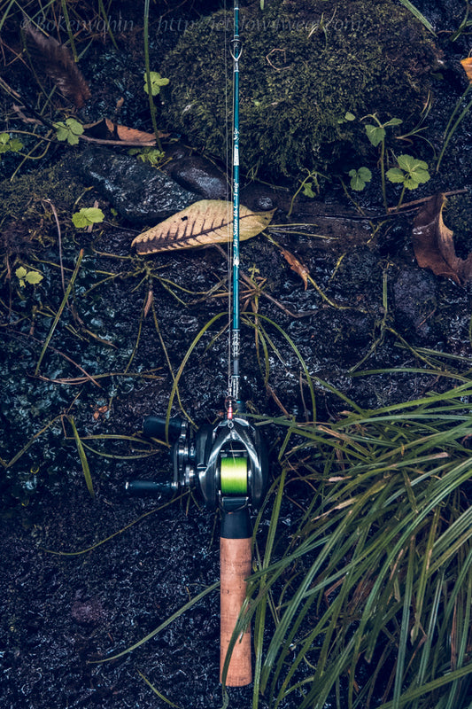Jet Setter 46C  [Twig]