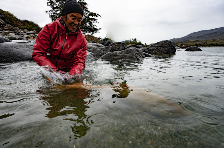 Jet Setter Patagonia 1000