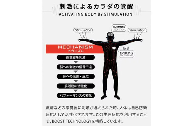 [30%OFF] [着るだけで運動能力があがる] カクセイ・アルタミラ [覚醒]