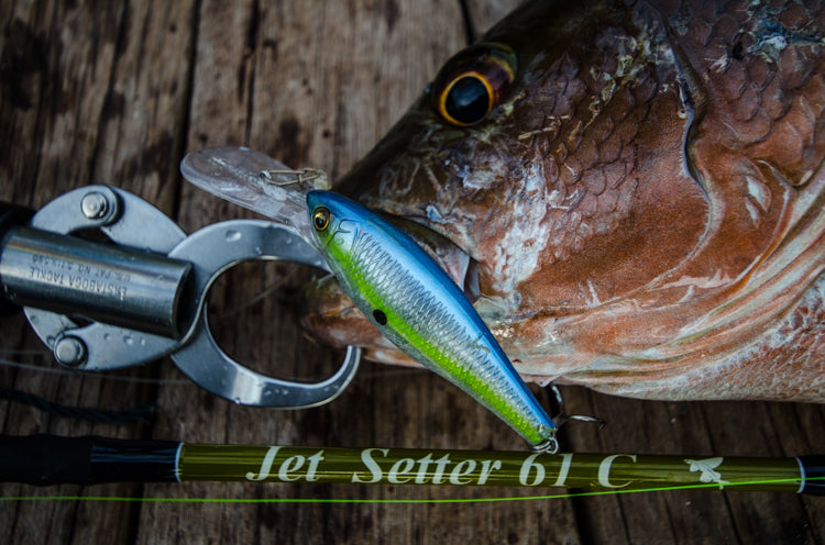 JetSlow×TULALA JetSetter 61C
