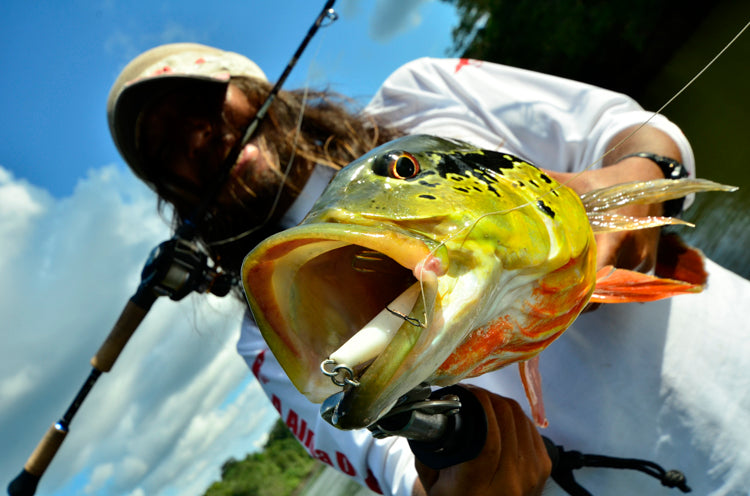 【中古・掘り出しモノ】[TULALA] モレーナ53（軽量ガイド巻き替えSP）