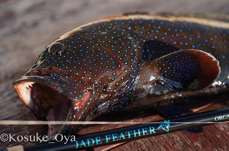 ORCA [JADE FEATHER 59]ジェイドフェザー59 スピニングモデル