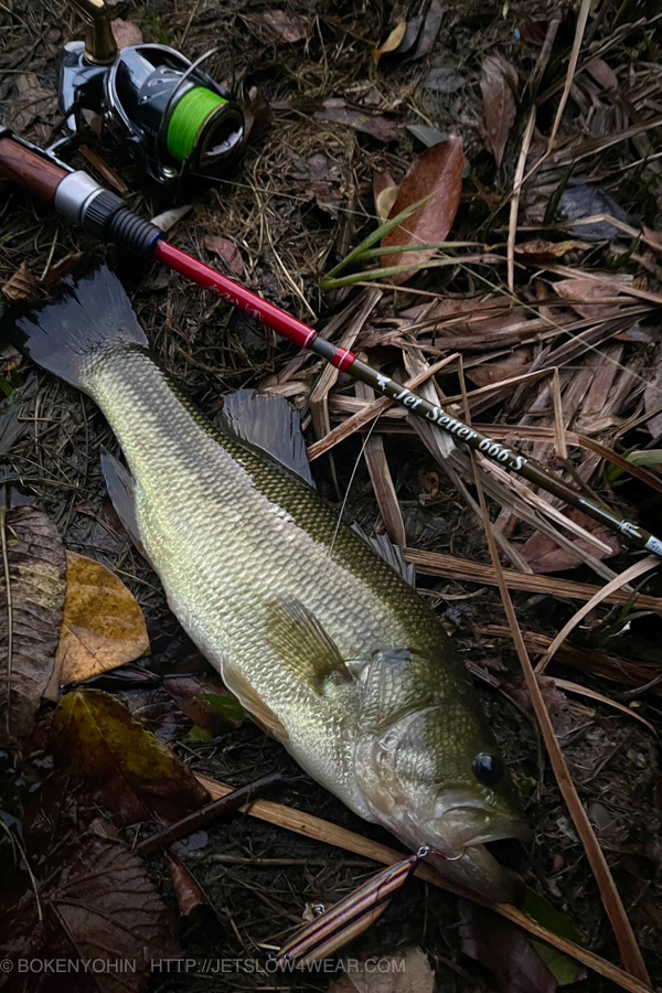 ミリタリーショルダー付き!】JetSetter 666S Trident [トライデント