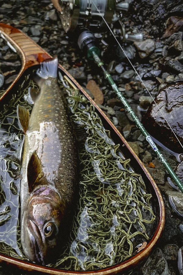 ジェットセッター36C SPROUT「冒険用品」