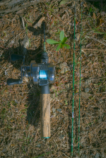 [10%OFF] ジェットセッター36C SPROUT