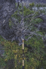 [10%OFF] Jet Setter Patagonia 1000 パタゴニア1000