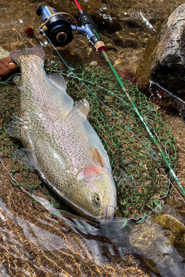 ジェットセッター45S Dwarf「冒険用品」