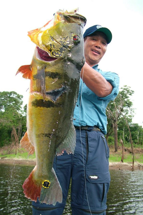 Queen -Nelson Nakamura's first minnow「冒険用品」