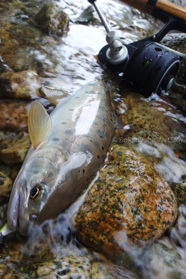 トライアングル TU-01「冒険用品」