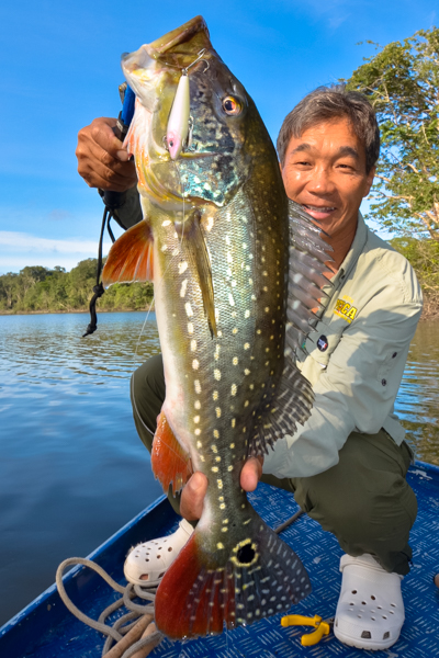 コムソー150-45　ホロパールホワイト　ソウルズ　G130 コムソー150-45ホロパールホワイトソウルズG130