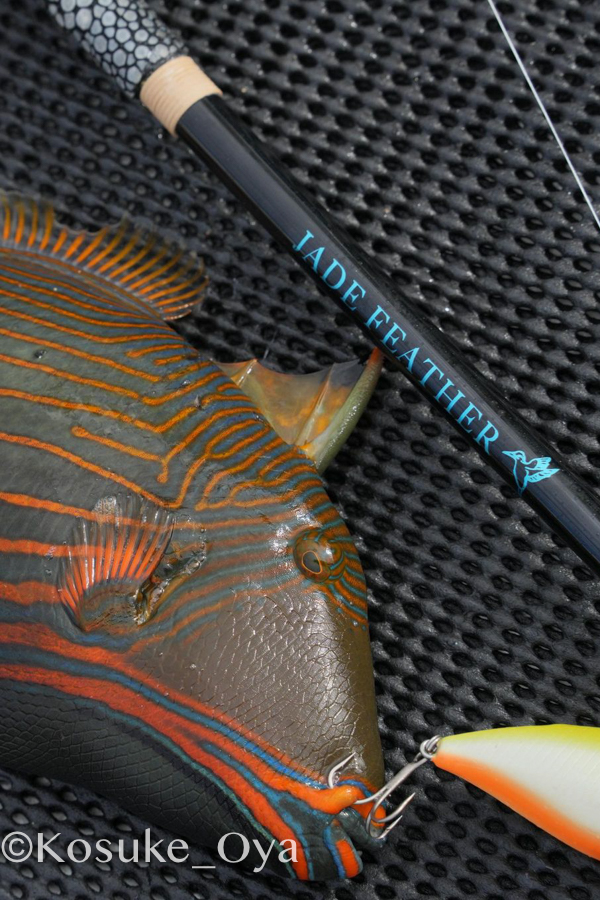 ORCA [JADE FEATHER 59]ジェイドフェザー59 スピニングモデル「冒険用品」